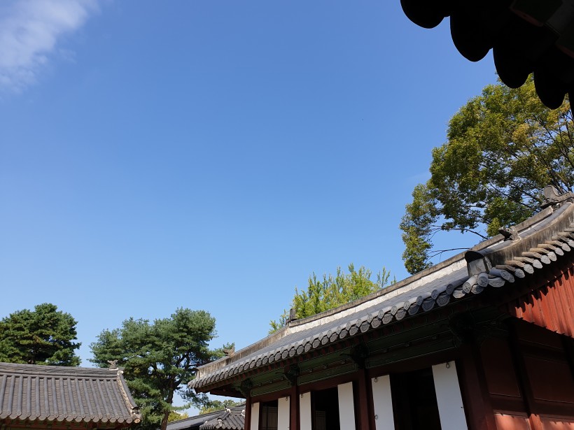 62fe8a6ad947270a92761a61caa7b3e1_1570250
